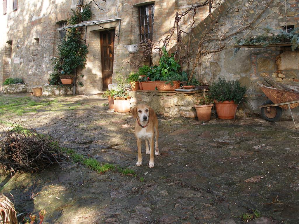 B&B Della Rosa Civitella D'Arna Eksteriør bilde